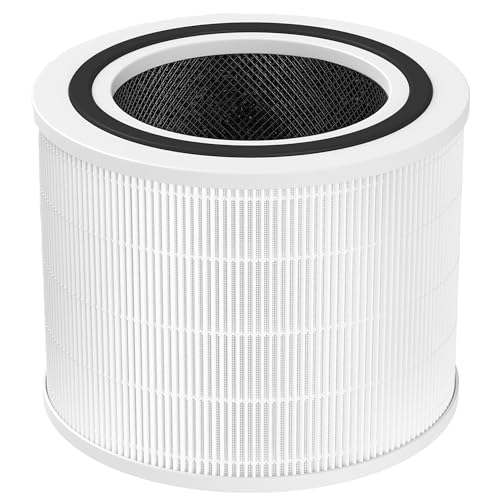 Core 200S 空気清浄機 フィルター 交換用 フィルター 脱臭・集じん 一体型 True HEPA フィルター 花粉やPM2.5を除去 除菌・ウイルス対策・脱臭 Core 200S-RF Filter 1個入り [並行輸入品]